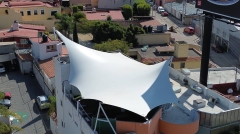 Wilbing_Universidad_01